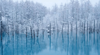 北海道景點 白金青池