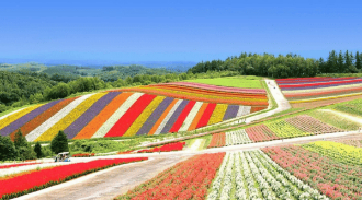 北海道景點 四季彩之丘