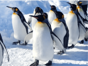 未命名 (800 x 600 像素) (1)