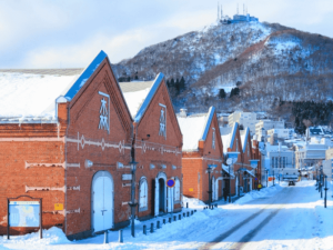 未命名 (800 x 600 像素)