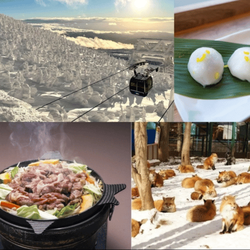 日本包車旅遊-東北